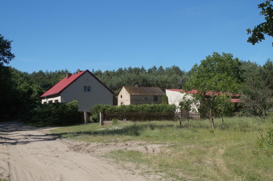 File:Wojcieszyce (osada leśna w województwie lubuskim).jpg