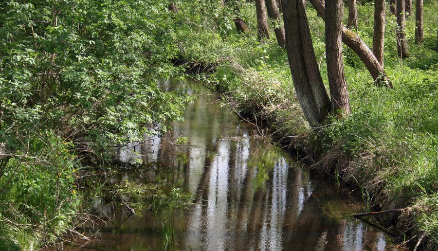File:Radostków Sękawica 2018-05-03 p2.jpg